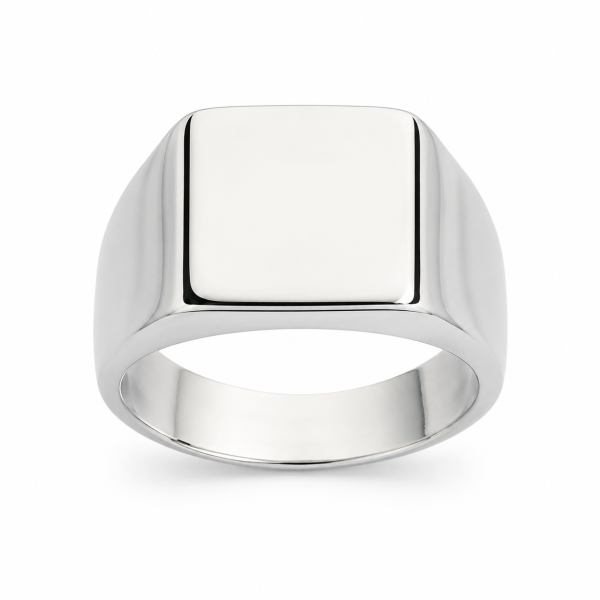 Borelli Silver Stainless Steel Polished Signet Ring